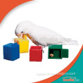 AYC Coollapet colored cube bird toy